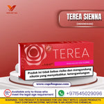 IQOS TEREA Sienna Indonesian flavor pack for IQOS ILUMA.