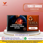 Buy TEREA Amber Uzbekistan Heets Online - IQOS ILUMA UAE | Vape Buy UAE